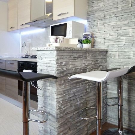 Apartment Petra I Nikola Selište Drežničko Extérieur photo