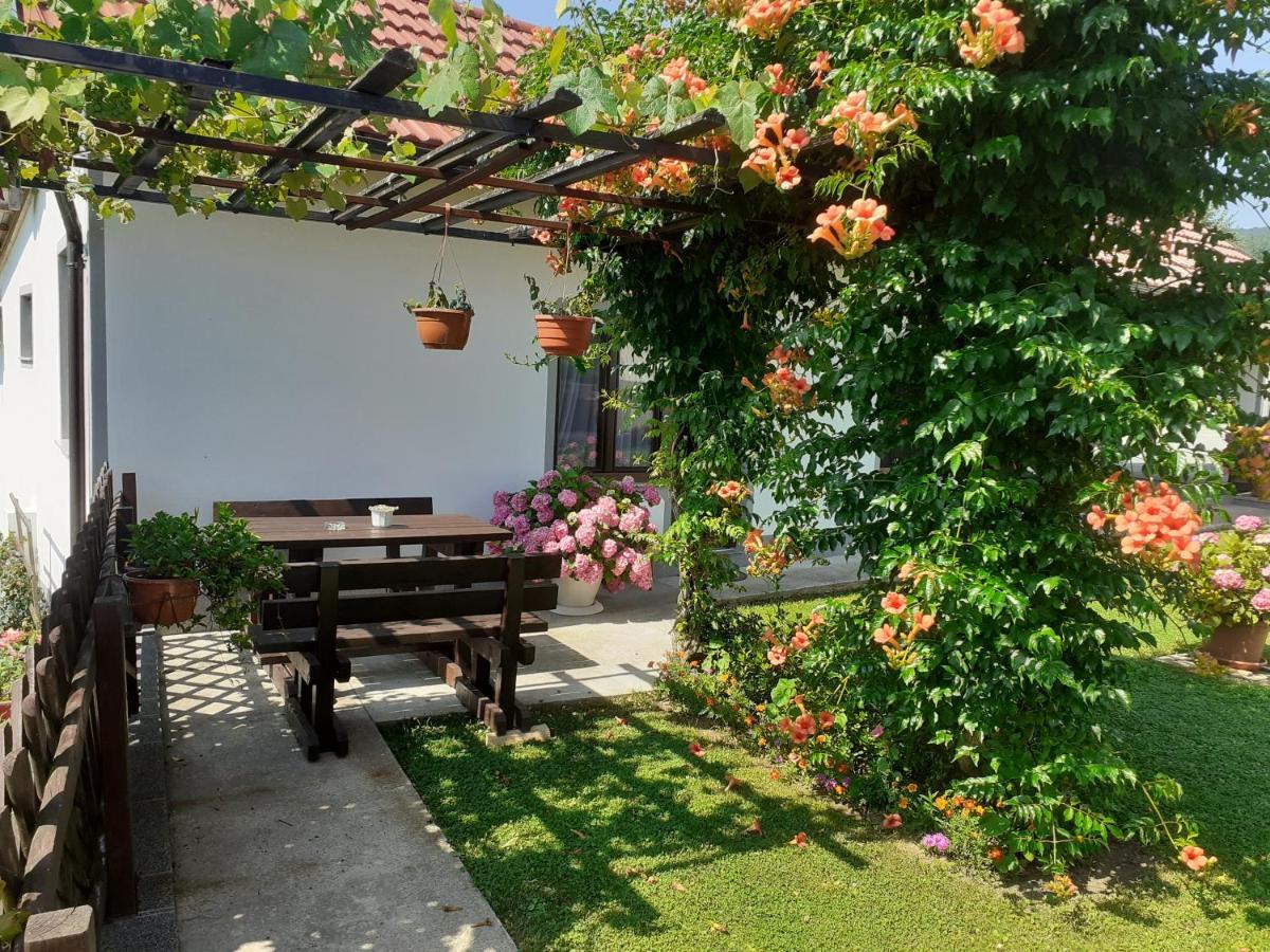 Apartment Petra I Nikola Selište Drežničko Extérieur photo