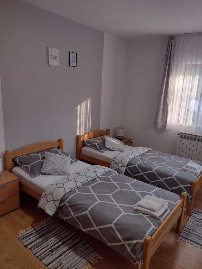 Apartment Petra I Nikola Selište Drežničko Extérieur photo