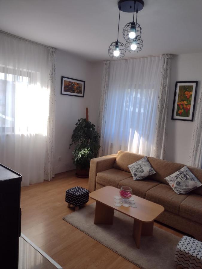 Apartment Petra I Nikola Selište Drežničko Extérieur photo