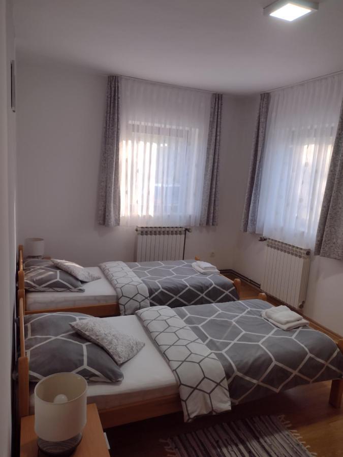 Apartment Petra I Nikola Selište Drežničko Extérieur photo