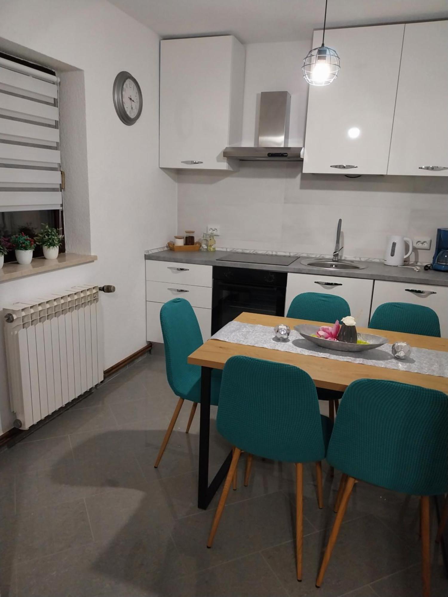 Apartment Petra I Nikola Selište Drežničko Extérieur photo