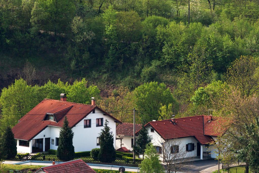Apartment Petra I Nikola Selište Drežničko Extérieur photo