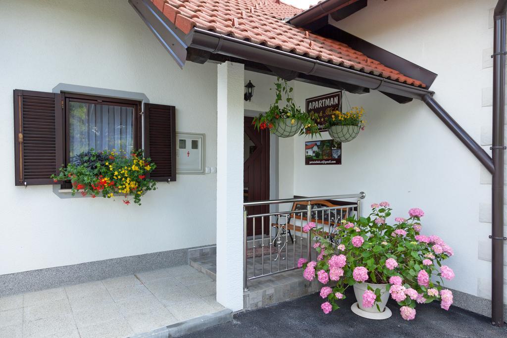 Apartment Petra I Nikola Selište Drežničko Extérieur photo