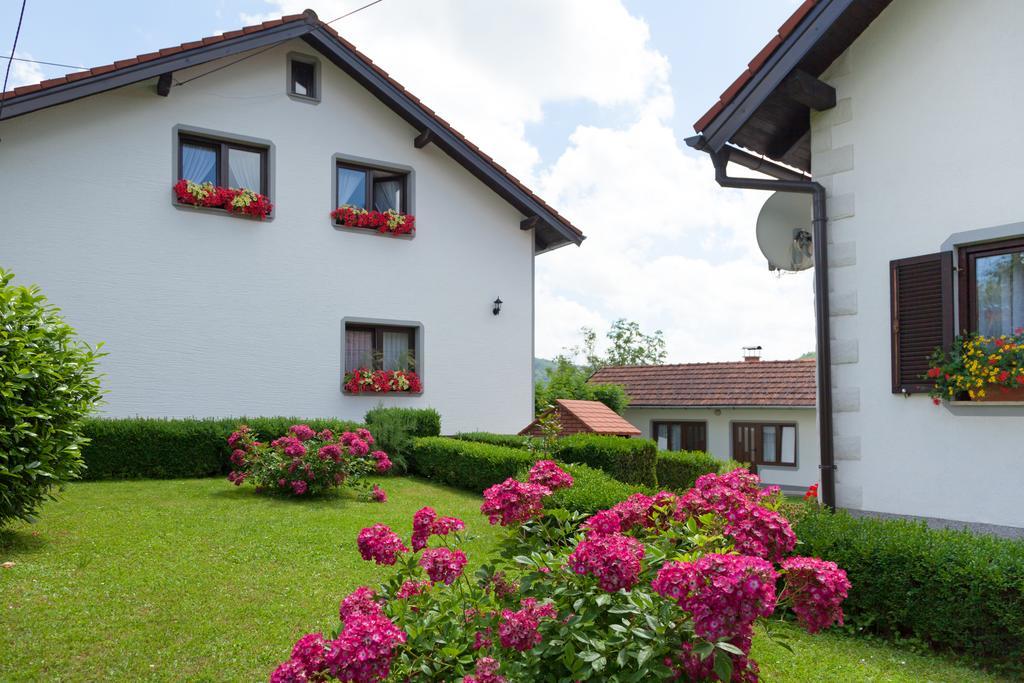 Apartment Petra I Nikola Selište Drežničko Extérieur photo