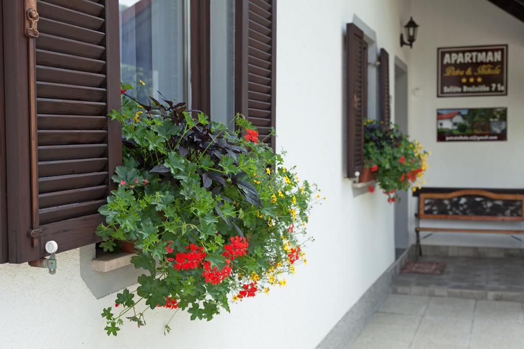 Apartment Petra I Nikola Selište Drežničko Extérieur photo