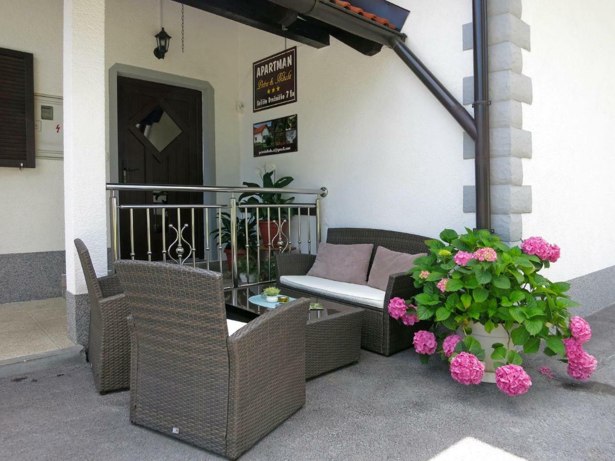 Apartment Petra I Nikola Selište Drežničko Extérieur photo