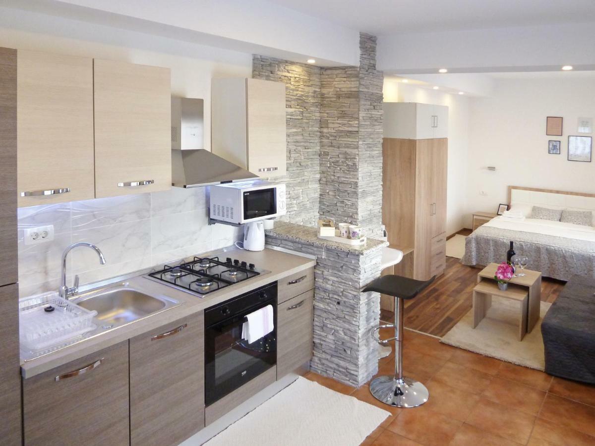 Apartment Petra I Nikola Selište Drežničko Extérieur photo