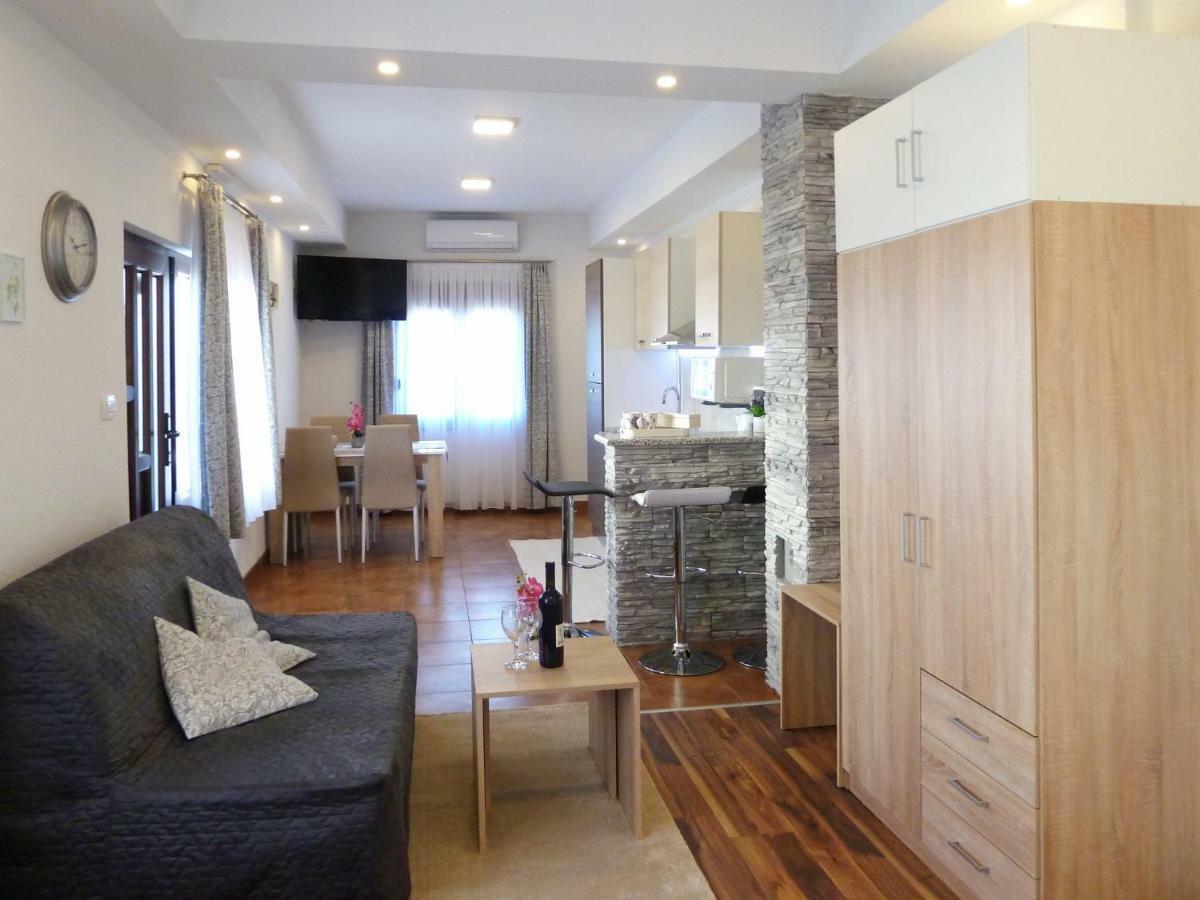 Apartment Petra I Nikola Selište Drežničko Extérieur photo